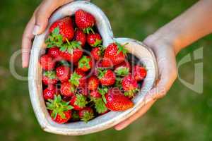 Young Woman Hands Holding Heart Shaped Bowl of Strawberries