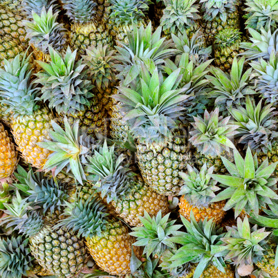 Bright background of fresh juicy pineapples.