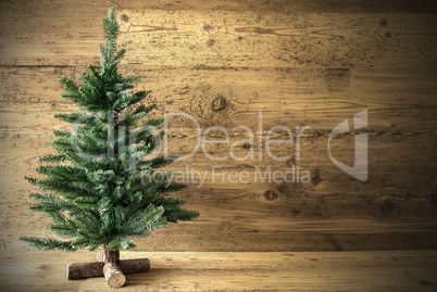 Green Christmas Tree On Brown Rustic Background