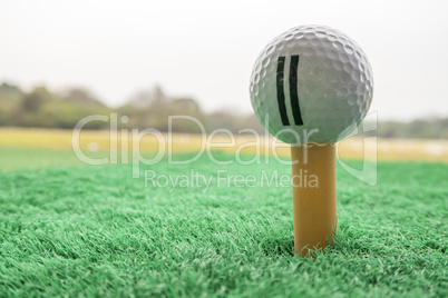 Golf ball on a Tee in driving range