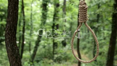 Hang Rope Noose in a Forest