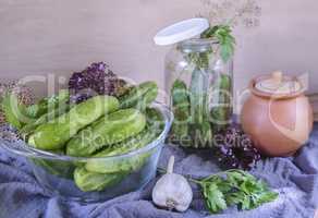 Cucumbers, prepared for canning and necessary spices.