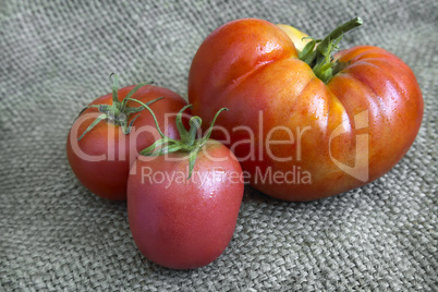 Tomatoes on the table on linen fabric.