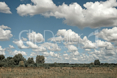 Summer landscape on a clear Sunny day.