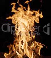 burning wooden logs and large orange flame