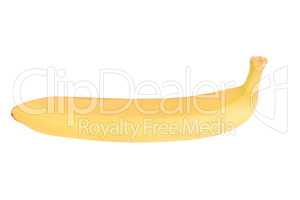 one raw Yellow Banana Isolated at dry sunny day