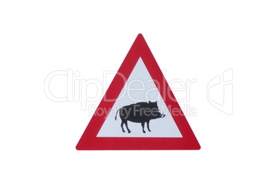 Attention - Boar - traffic sign in front of white background