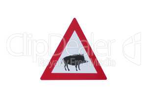 Attention - Boar - traffic sign in front of white background