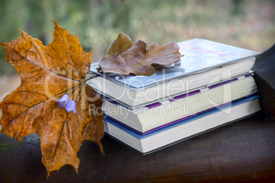 Still life: books and autumn leaves in the Park.