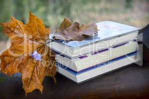 Still life: books and autumn leaves in the Park.