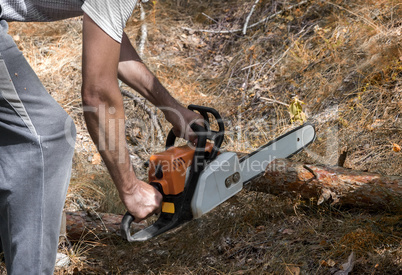 A man sawing a tree with a chainsaw in the woods.