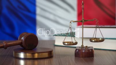 Justice for France Laws in French Court