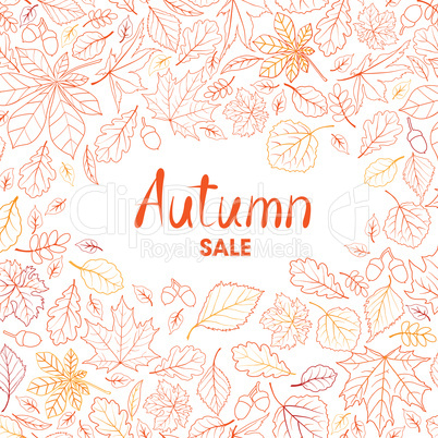 Fall leaf nature background. Autumn leaves pattern with letterin