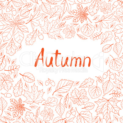 Fall leaf nature seamless pattern. Autumn leaves background. Sea