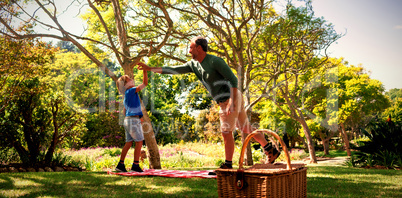 Father and son giving a high five while having picnic