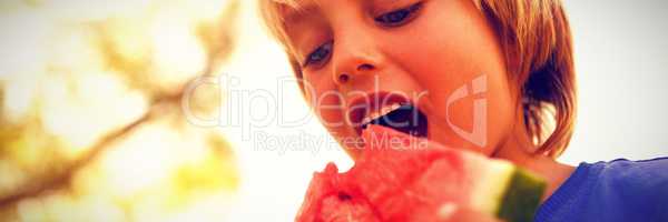 Boy having watermelon in the park