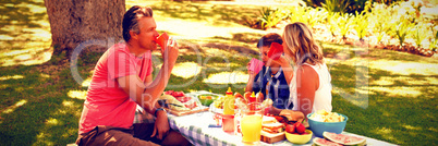 Happy family having juice in park Happy family having juice in park