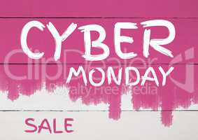 Cyber Monday Sale on pink painted wall