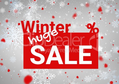 Winter Sale red rectangle with text and a grey background