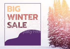 Winter Sale colored in yellow, orange and purple, firs in the background