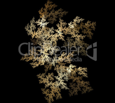 image of one Digital Fractal on Black Color