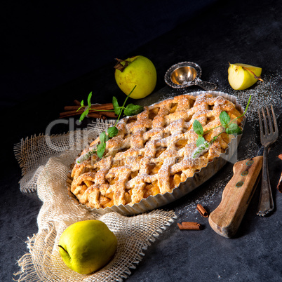 Tasty Apple pie with lattice upper crust