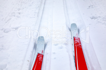 Cross-country skis in winter landscape