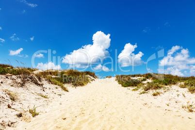 Dune beach at Costa Nova in Portugal