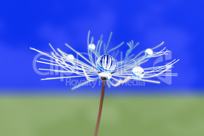 Flowered stalks with dew drops, 3d illustration