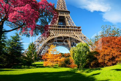 Trees in park of Paris in autumn