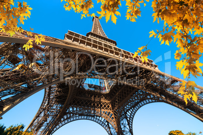 Park of Paris in autumn