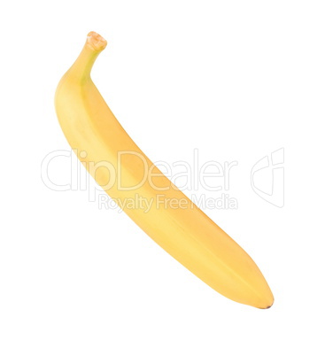 one raw Yellow Banana Isolated at dry sunny day