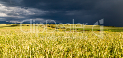 storm storm in the wheat field