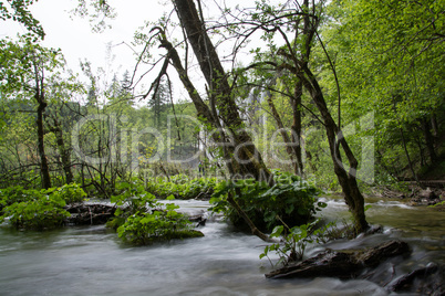 Plitvicer Seen, Kroatien