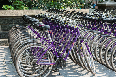 City bikes for hire
