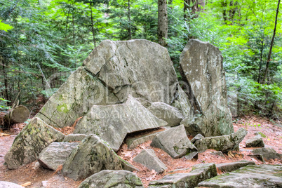 Rock in the forest