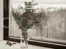 Black and white image. Bouquet of autumn flowers and leaves on the windowsill.
