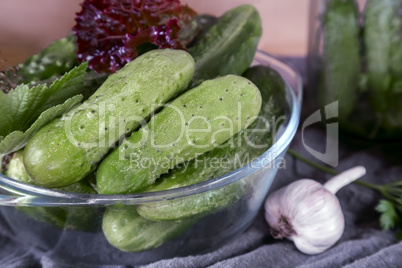 Cucumbers, prepared for canning and necessary spices.