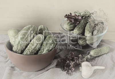 Cucumbers, prepared for canning and necessary spices.