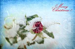 Merry Christmas and happy New year greeting card.