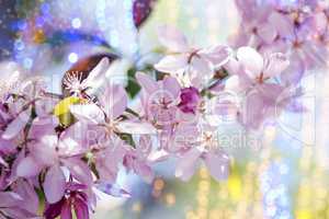 branch of decorative cherry with pink flowers