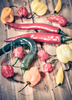 verschiedene scharfe Chilisorten auf einem Holzbrett Peperoni