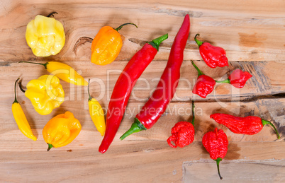 verschiedene scharfe Chilisorten auf einem Holzbrett Peperoni