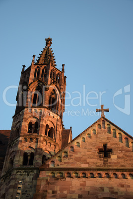 Freiburger Münster