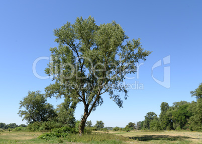 Landschaft im Loiretal