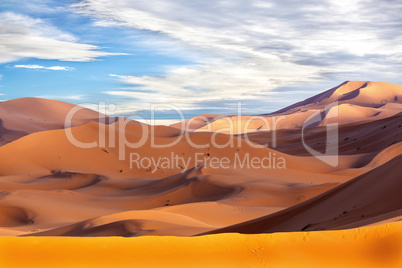 Sand dune in the desert of Morocco