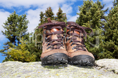 walking shoes