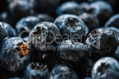 Blueberries closeup with water drops