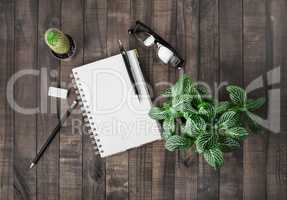 Stationery and plants
