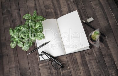 Booklet, stationery, plants